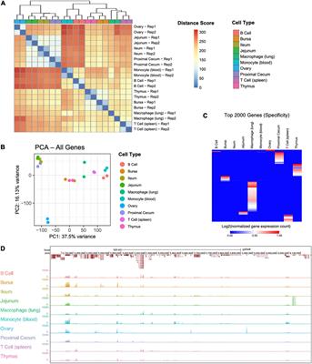 Transcriptomes of an Array of Chicken Ovary, Intestinal, and Immune Cells and Tissues